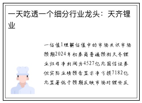 一天吃透一个细分行业龙头：天齐锂业